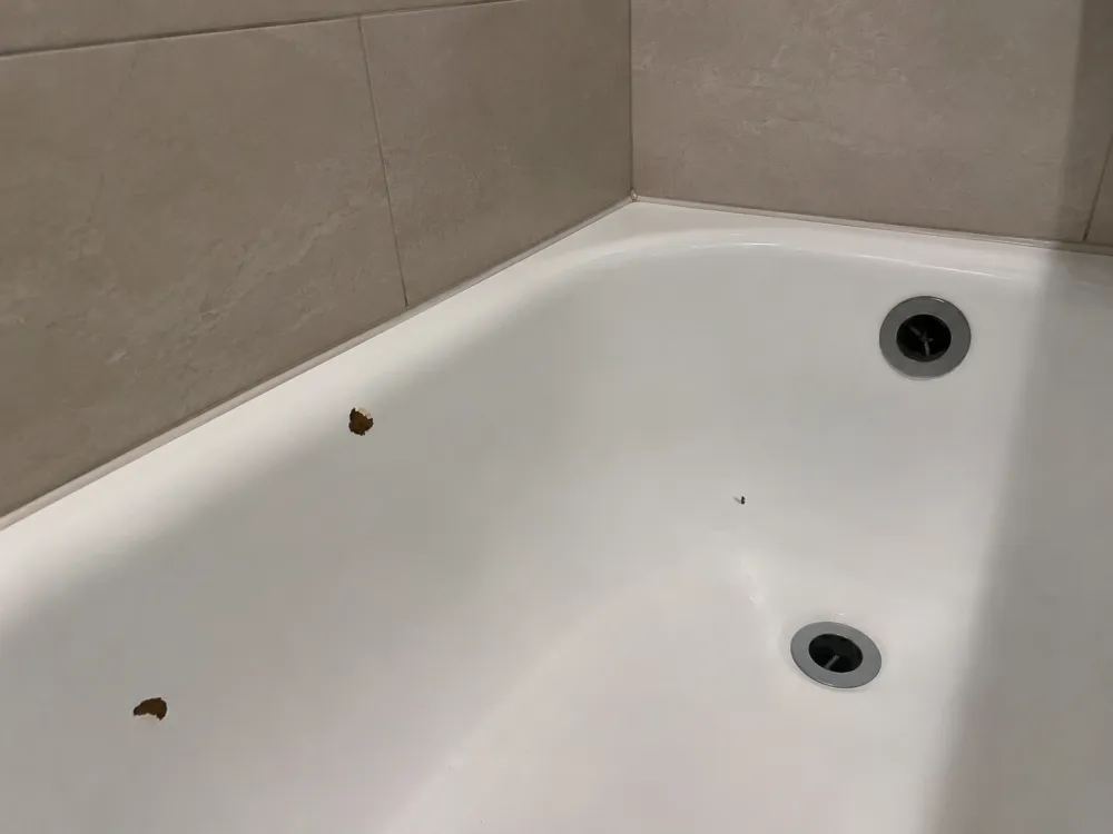 Badewanne mit Abplatzung und Riss vor der Reparatur